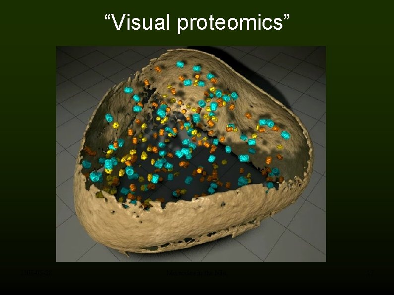 “Visual proteomics” 2008 -05 -28 Molecules in the Mist 17 