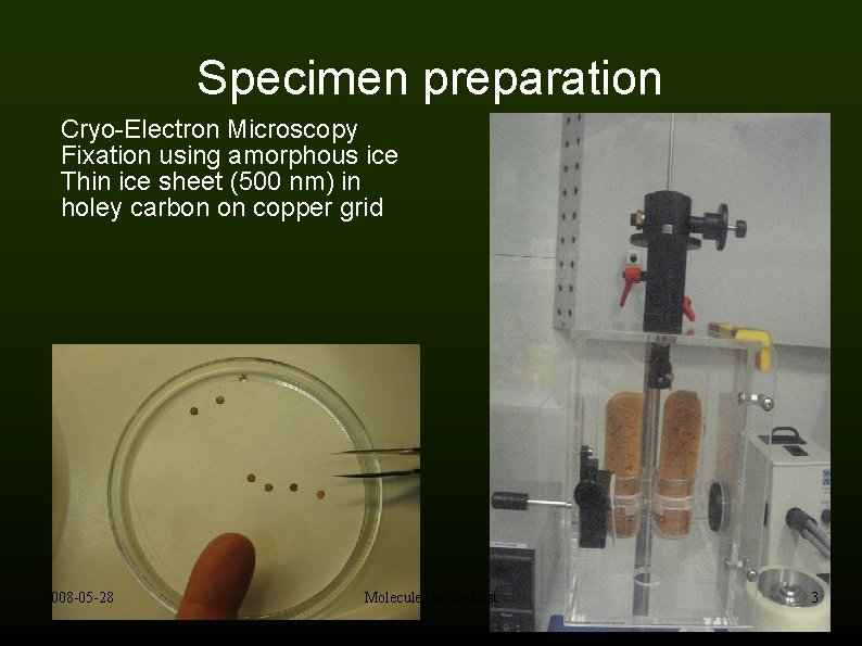 Specimen preparation Cryo-Electron Microscopy Fixation using amorphous ice Thin ice sheet (500 nm) in