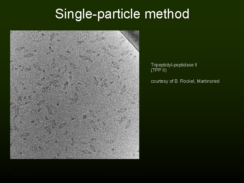 Single-particle method Tripeptidyl-peptidase II (TPP II) courtesy of B. Rockel, Martinsried 2008 -05 -28