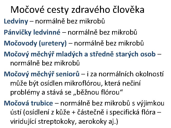 Močové cesty zdravého člověka Ledviny – normálně bez mikrobů Pánvičky ledvinné – normálně bez