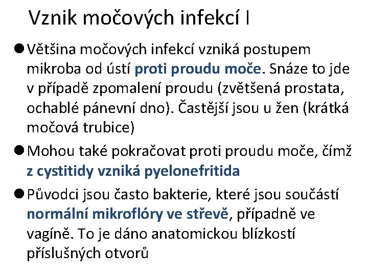 Vznik močových infekcí I l Většina močových infekcí vzniká postupem mikroba od ústí proti