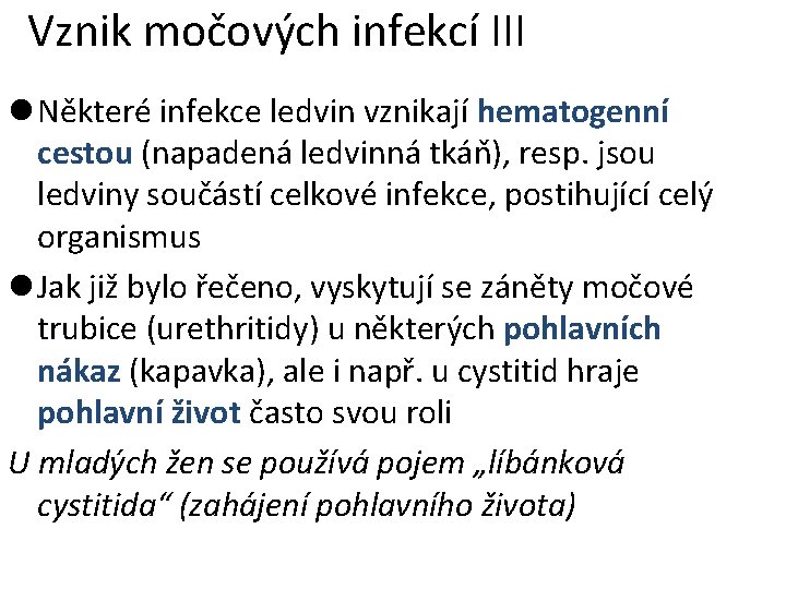 Vznik močových infekcí III l Některé infekce ledvin vznikají hematogenní cestou (napadená ledvinná tkáň),