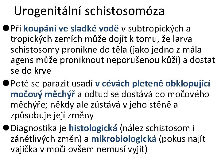 Urogenitální schistosomóza l Při koupání ve sladké vodě v subtropických a tropických zemích může