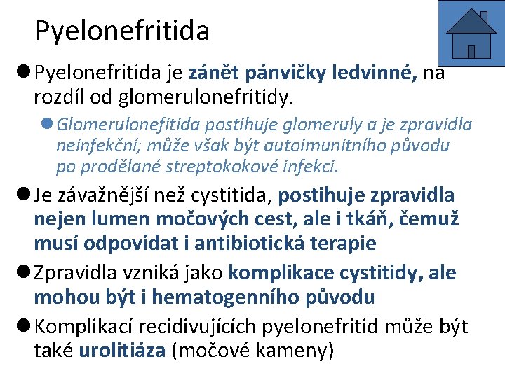 Pyelonefritida l Pyelonefritida je zánět pánvičky ledvinné, na rozdíl od glomerulonefritidy. l Glomerulonefitida postihuje