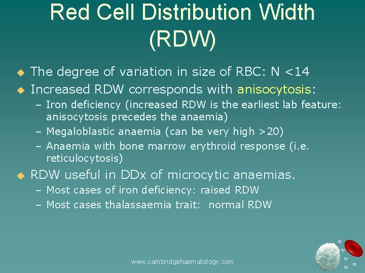 Red Cell Distribution Width (RDW) u u The degree of variation in size of