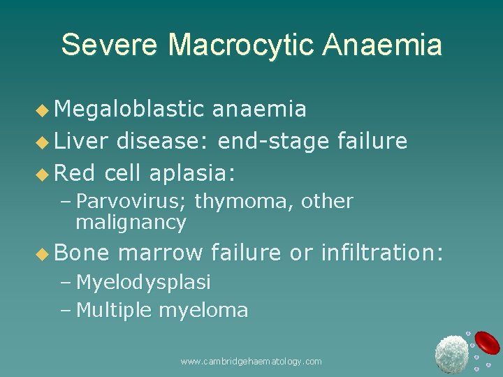 Severe Macrocytic Anaemia u Megaloblastic anaemia u Liver disease: end-stage failure u Red cell