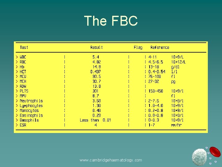 The FBC www. cambridgehaematology. com 