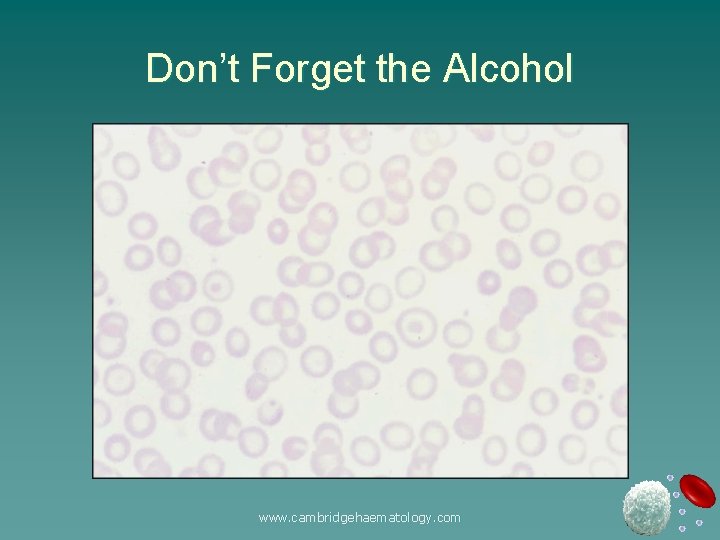 Don’t Forget the Alcohol www. cambridgehaematology. com 