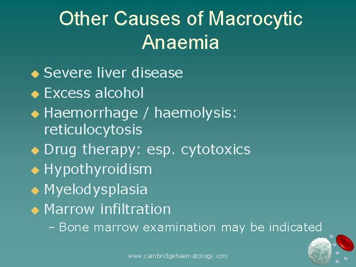Other Causes of Macrocytic Anaemia Severe liver disease u Excess alcohol u Haemorrhage /