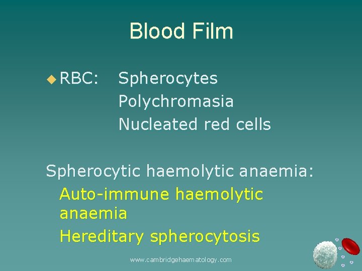 Blood Film u RBC: Spherocytes Polychromasia Nucleated red cells Spherocytic haemolytic anaemia: Auto-immune haemolytic