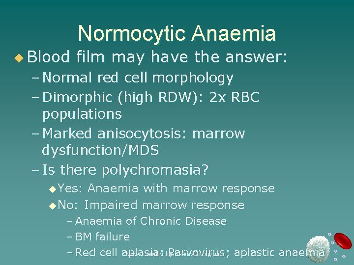 Normocytic Anaemia u Blood film may have the answer: – Normal red cell morphology