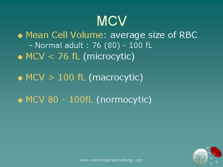 MCV u Mean Cell Volume: average size of RBC – Normal adult : 76