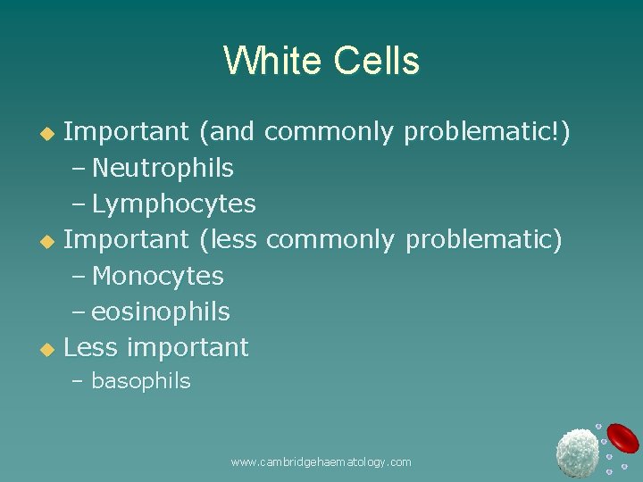 White Cells Important (and commonly problematic!) – Neutrophils – Lymphocytes u Important (less commonly