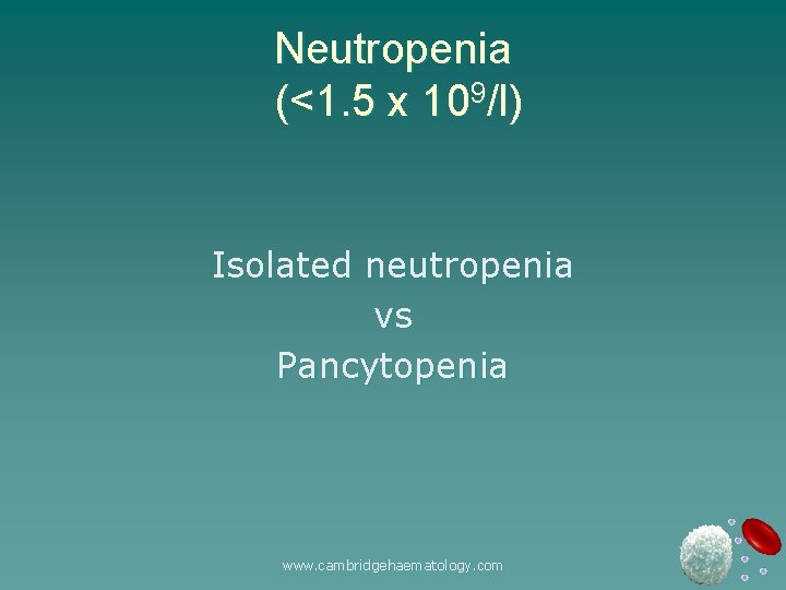 Neutropenia (<1. 5 x 109/l) Isolated neutropenia vs Pancytopenia www. cambridgehaematology. com 