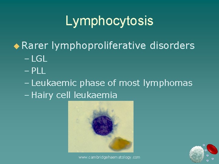 Lymphocytosis u Rarer lymphoproliferative disorders – LGL – PLL – Leukaemic phase of most