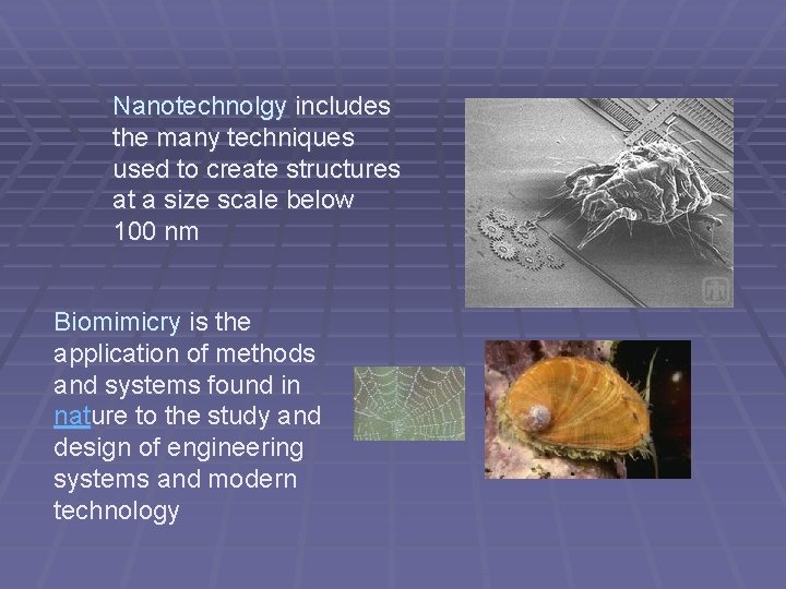 Nanotechnolgy includes the many techniques used to create structures at a size scale below