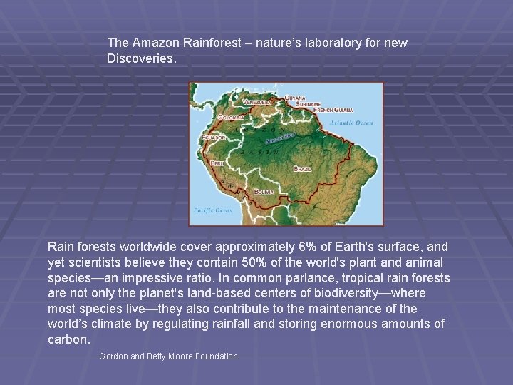 The Amazon Rainforest – nature’s laboratory for new Discoveries. Rain forests worldwide cover approximately