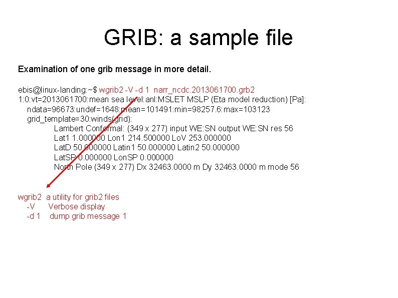 GRIB: a sample file Examination of one grib message in more detail. ebis@linux-landing: ~$
