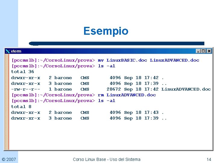 Esempio [pccmslb]: ~/Corso. Linux/prova> total 36 drwxr-xr-x 2 barone CMS drwxr-xr-x 3 barone CMS