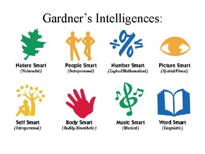 Gardner’s Intelligences: Gardner’s Intelligences: