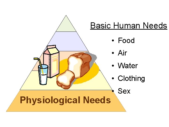 Basic Human Needs • Food • Air • Water • Clothing Physiological Needs • Basic Human Needs • Food • Air • Water • Clothing Physiological Needs •