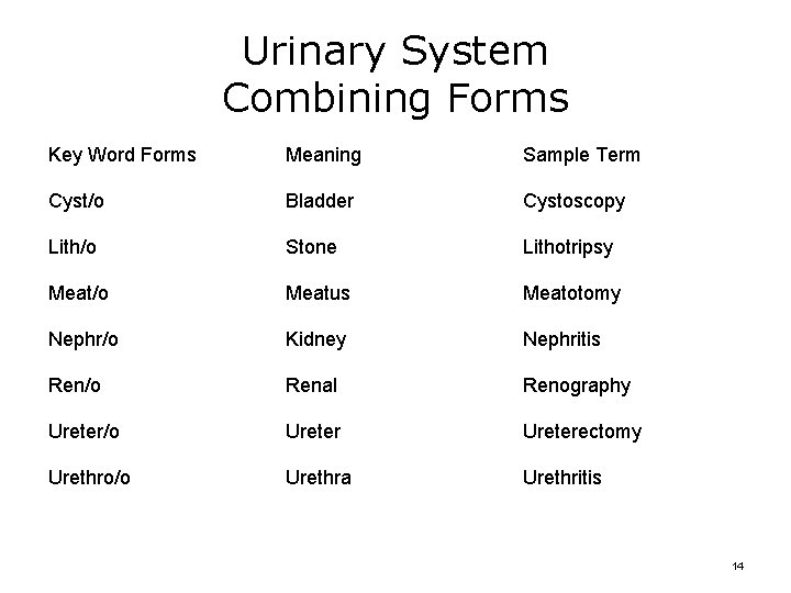 Urinary System Combining Forms Key Word Forms Meaning Sample Term Cyst/o Bladder Cystoscopy Lith/o