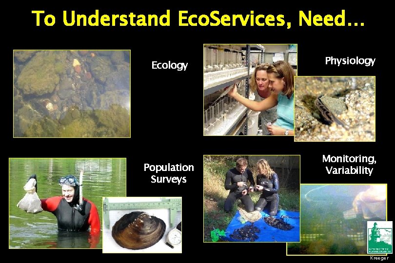 To Understand Eco. Services, Need… Ecology Population Surveys Physiology Monitoring, Variability Kreeger 