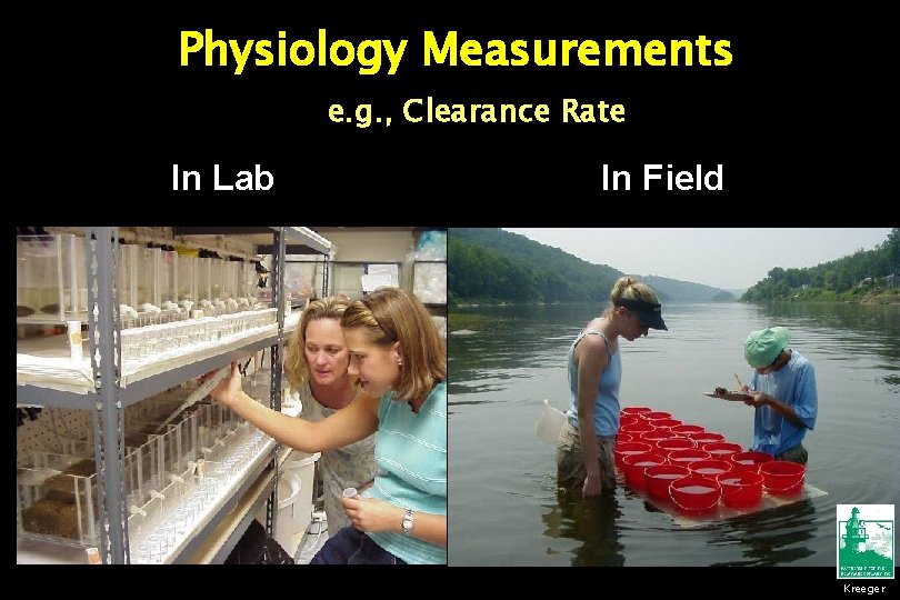 Physiology Measurements e. g. , Clearance Rate In Lab In Field Kreeger 