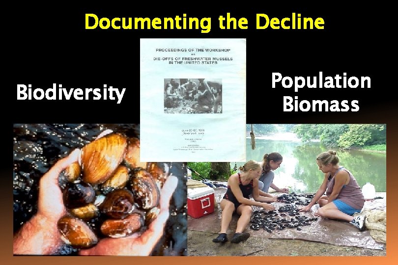 Documenting the Decline Biodiversity Population Biomass 