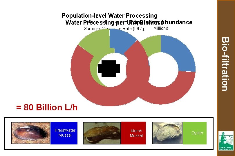 Population-level Water Processing Billions of Liters per Hour Population Abundance Water Processing Unit Biomass