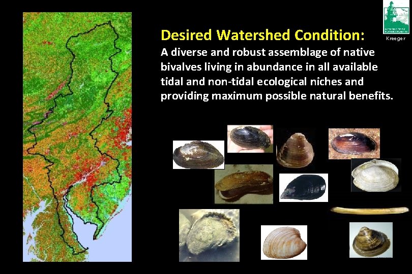 Desired Watershed Condition: Kreeger A diverse and robust assemblage of native bivalves living in