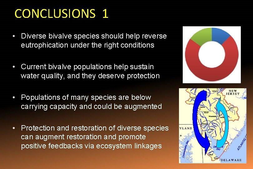 CONCLUSIONS 1 • Diverse bivalve species should help reverse eutrophication under the right conditions