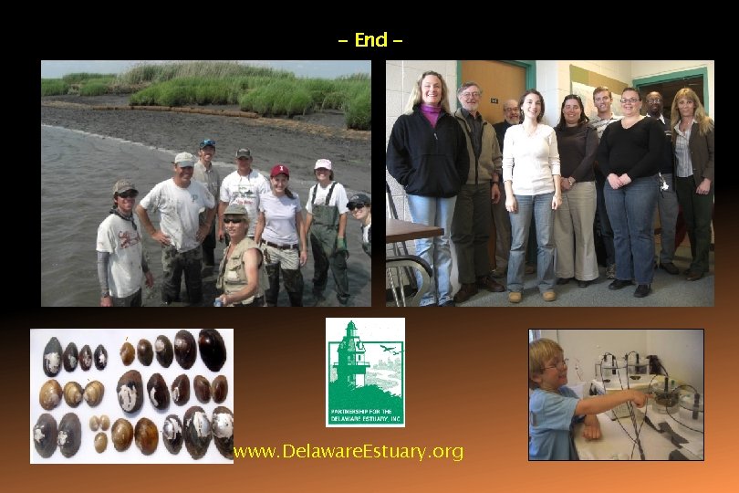 - End - www. Delaware. Estuary. org 