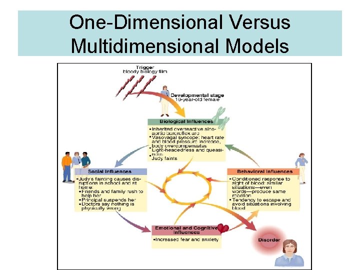 One-Dimensional Versus Multidimensional Models 