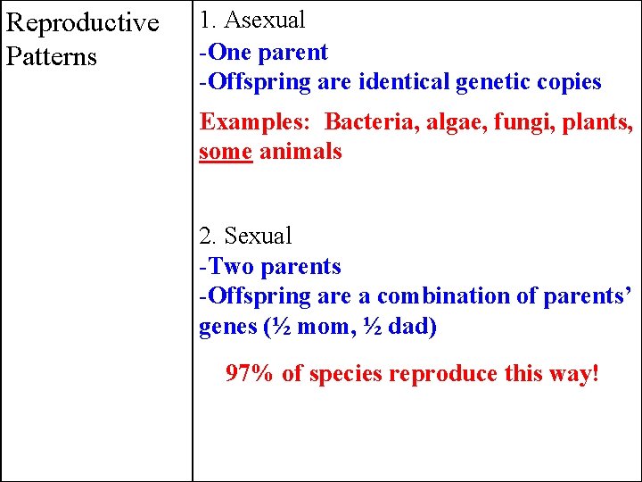 Reproductive Patterns 1. Asexual -One parent -Offspring are identical genetic copies Examples: Bacteria, algae,