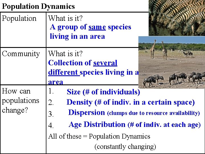 Population Dynamics Population What is it? A group of same species living in an