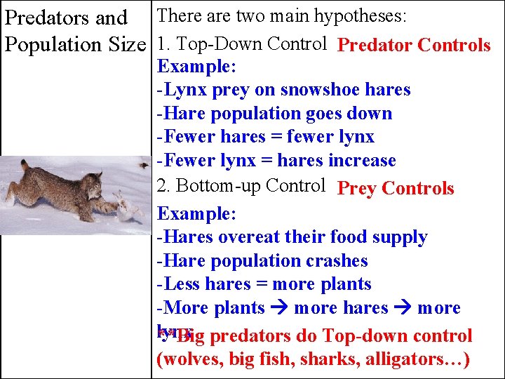 Predators and There are two main hypotheses: Population Size 1. Top-Down Control Predator Controls