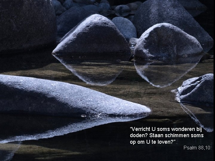 “Verricht U soms wonderen bij doden? Staan schimmen soms op om U te loven?