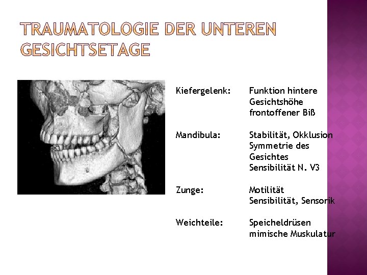 Kiefergelenk: Funktion hintere Gesichtshöhe frontoffener Biß Mandibula: Stabilität, Okklusion Symmetrie des Gesichtes Sensibilität N.