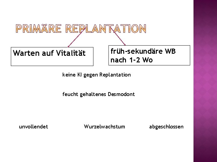 Warten auf Vitalität früh-sekundäre WB nach 1 -2 Wo keine KI gegen Replantation feucht