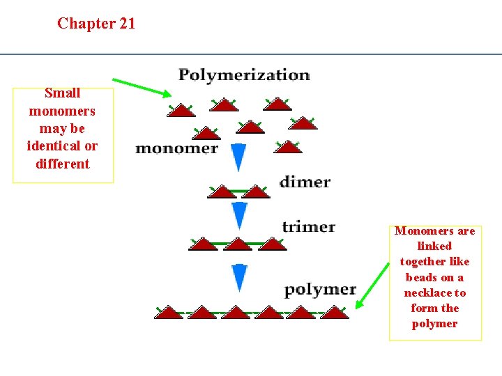 Section 20. 1 Section 20 -4 Chapter 21 Saturated Hydrocarbons Small monomers may be
