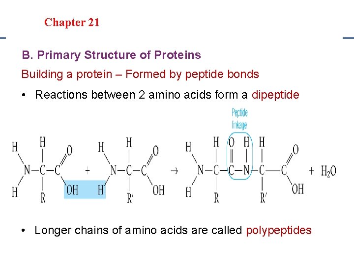 Section 20. 1 Section 20 -4 Chapter 21 Saturated Hydrocarbons B. Primary Structure of