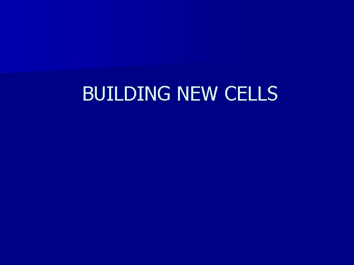 BUILDING NEW CELLS 
