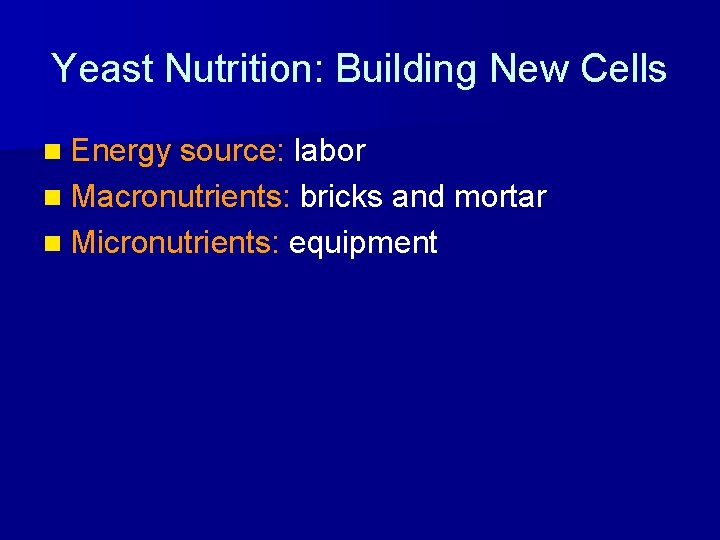 Yeast Nutrition: Building New Cells n Energy source: labor n Macronutrients: bricks and mortar