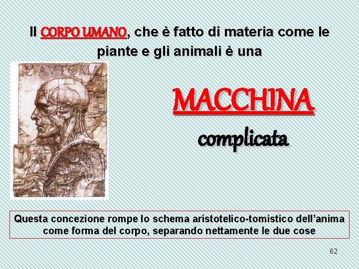 Il CORPO UMANO, che è fatto di materia come le piante e gli animali