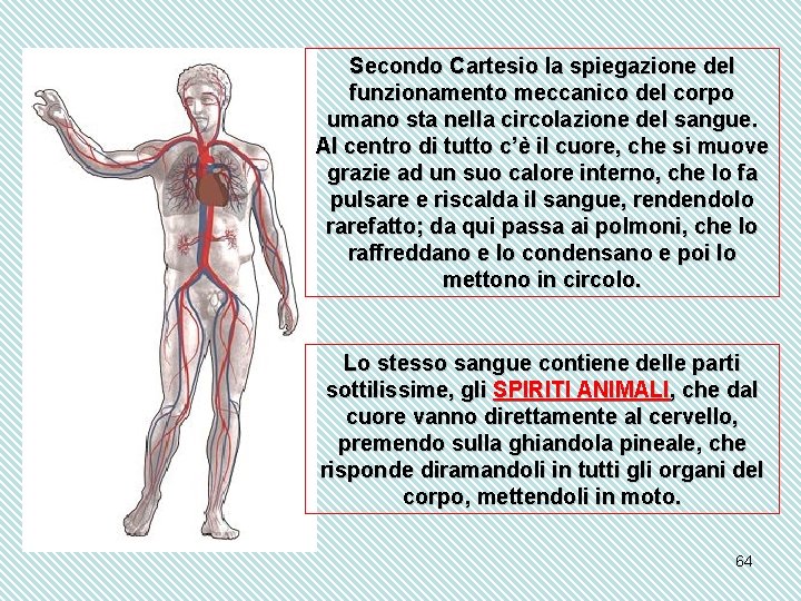 Secondo Cartesio la spiegazione del funzionamento meccanico del corpo umano sta nella circolazione del