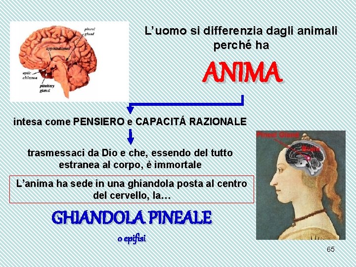 L’uomo si differenzia dagli animali perché ha ANIMA intesa come PENSIERO e CAPACITÁ RAZIONALE