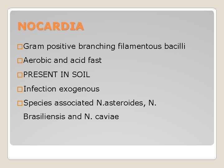 NOCARDIA � Gram positive branching filamentous bacilli � Aerobic and acid fast � PRESENT