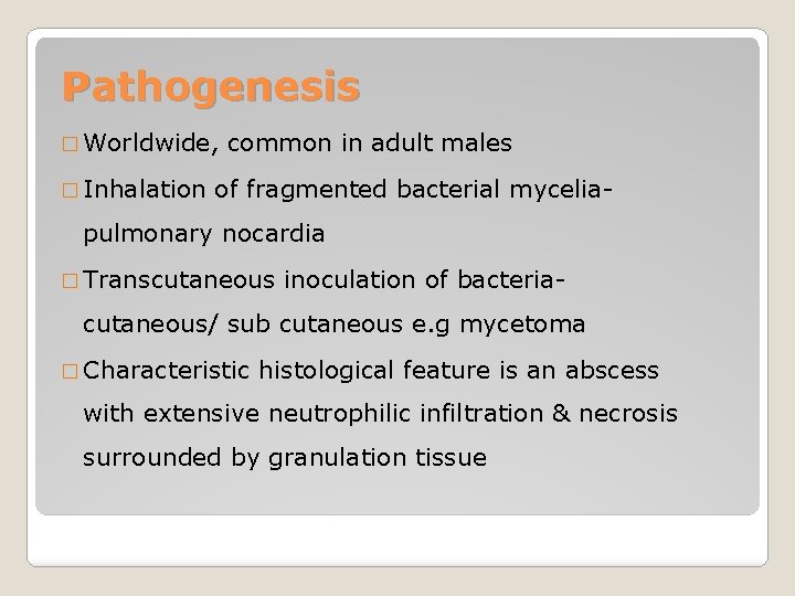 Pathogenesis � Worldwide, � Inhalation common in adult males of fragmented bacterial mycelia- pulmonary