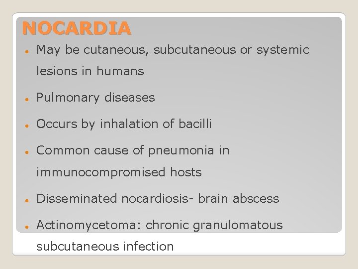 NOCARDIA May be cutaneous, subcutaneous or systemic lesions in humans Pulmonary diseases Occurs by